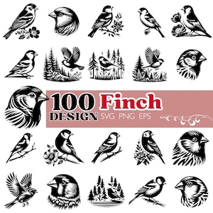 Finch SVG-paket, sångfågel Clipart PNG EPS, skogsfågelklippfiler