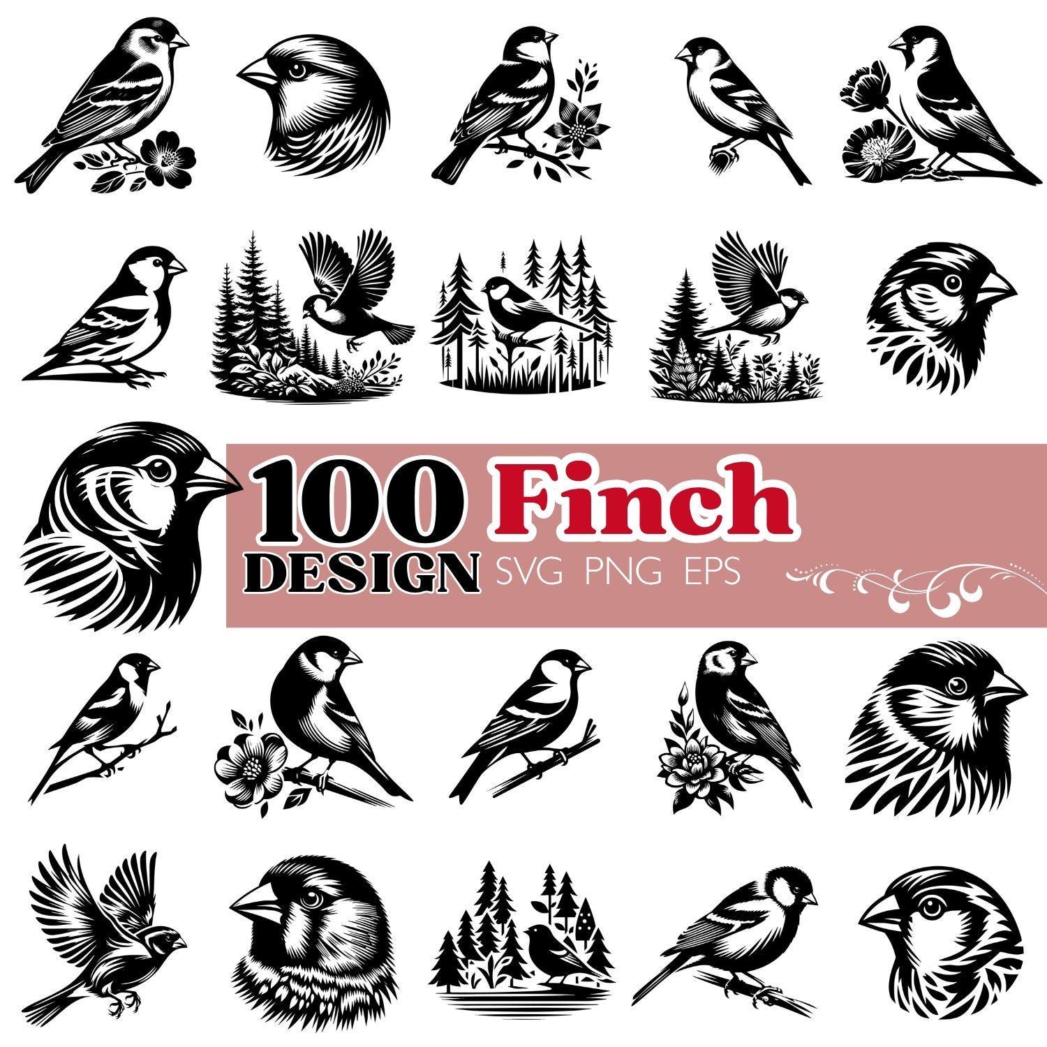 Finch SVG Bundle, Songbird Clipart PNG EPS, Woodland Bird Cut Files - Etsy