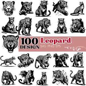 Op de afbeelding: Een verzameling van 100 luipaardontwerpen in zwart en wit. De ontwerpen tonen luipaarden in verschillende poses, waaronder rennen, zitten en brullen. De tekst "100 Leopard Design SVG PNG EPS" is ook opgenomen.