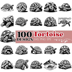 100 sköldpadda SVG-paket, sköldpadda clipart, reptilsilhuett, lasergraveringsdesigner (svg, png, eps)