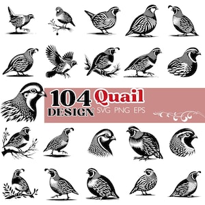 Puede incluir: Colección de ilustraciones de codornices en blanco y negro, en varias poses. La imagen incluye el texto "104 Quail Design SVG PNG EPS". Las aves están representadas en un estilo gráfico detallado, para proyectos de diseño.