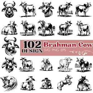 Op de afbeelding: Een verzameling van 102 Brahman koeienontwerpen in zwart en wit. De afbeeldingen tonen verschillende poses van de koeien, zoals staan, liggen en frontaal. De tekst "102 Brahman Cow Design SVG PNG EPS" is ook aanwezig.
