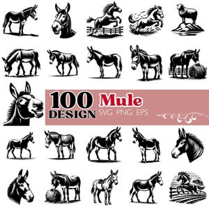 May include: A collection of black and white mule designs in various poses. The image includes illustrations of mules standing, grazing, and jumping. Text in the center reads "100 Mule Design SVG PNG EPS".