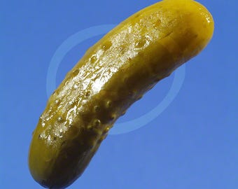 PICKLE Photo, Condiment Image, Food CLIP ART, Pickle Clipart, Food Photography, Digital Download, Stock Image, Blue Background, Green