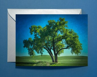 Green Tree Notecard with Blue Sky, Tree Greeting Card with Blank Inside, Nature Notecard, Silver Envelope, Cellophane, Stationery