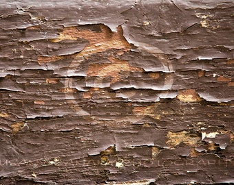 Brown Peeling Paint PHOTO, Wood TEXTURE Overlay, Photoshop Overlay, Distress Wood, Scrapbooking, Blog and Web Graphics Clip Art