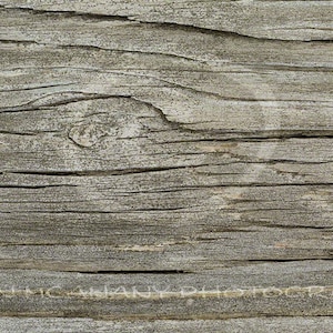 May include: Close-up of a weathered, gray wood surface with a knot and grain pattern.