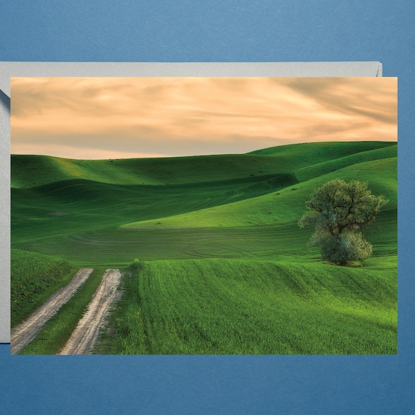 Sunset Greeting Card, Road, Nature Greeting Card with Blank Inside, Landscape Notecard with Envelope, Palouse Photo Art Greeting Note Card