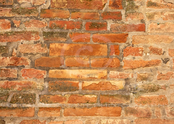 Brick And Mortar Texture Instant Download Photoshop Overlay Etsy