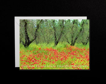 Nature Greeting Card, Flower Greeting Card with Blank Inside, Landscape Notecard with Envelope, Italy Photo Art Greeting Note Card, Poppies