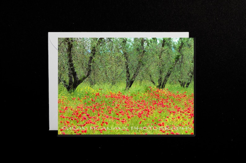 Nature Greeting Card, Flower Greeting Card with Blank Inside, Landscape Notecard with Envelope, Italy Photo Art Greeting Note Card, Poppies image 1