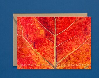 Nature Greeting Card with Blank Inside, Leaf Note Card, Nature Notecards, Red Leaf Greeting Cards, Photo Note Card, Art Note Card, Vascular