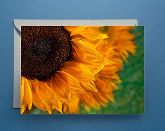 Sunflower Greeting Card with Blank Inside, Flower Note Card, Nature Notecard, Silver Envelope, Cellophane, Floral Card Art Nature Card