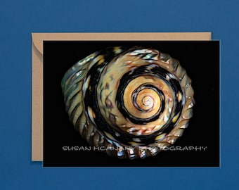 Sea Shell Greeting Card with Blank Inside, Seashell Note Cards, Notecard, Kraft Envelope, Seashell Photo Greeting Card, Art Notecards