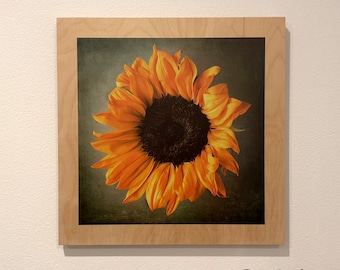 Sunflower Photo with Texture Mounted on Wood, Ready to Hang, Square Flower Art, Nature Photography, Professional Printed Wall Art, In Stock