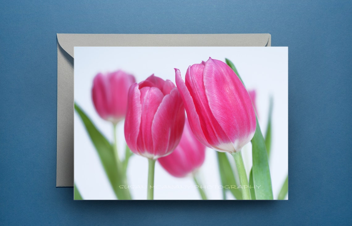 Tulip Greeting Card With Blank Inside Flower Notecard With Etsy