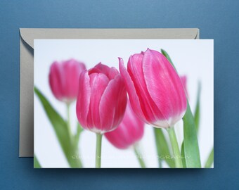 Tulip Greeting Card with Blank Inside, Flower Notecard with Envelope, Art Greeting Card, Photo Notecard, Note Card, Nature Notecard