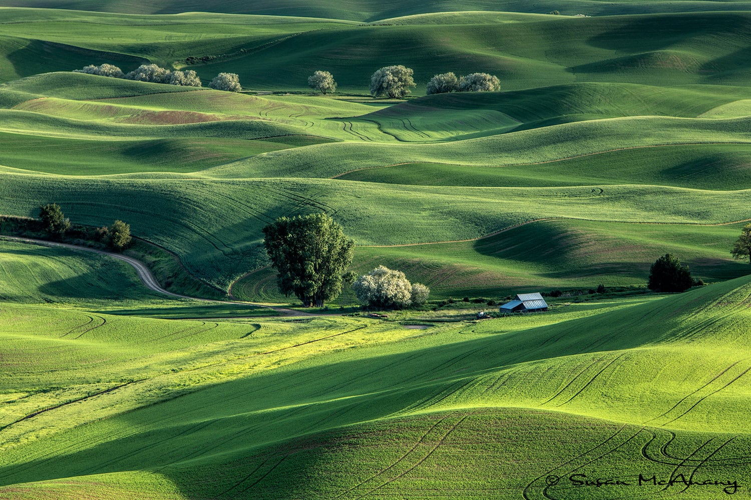 Landscape Photograph With Barn, Green Farmland Photo, Fine Art Nature ...