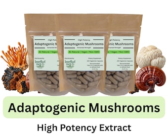 Champignons adaptogènes - Crinière de lion, chaga, cordyceps, reishi - Corps de fructification - Gélules à base de plantes - Extrait puissant
