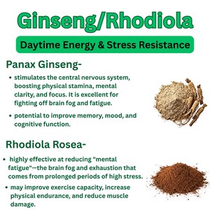 May include: An informational graphic with the text "Ginseng/Rhodiola Daytime Energy & Stress Resistance." It features Panax Ginseng and Rhodiola Rosea, with descriptions and images of the herbs.