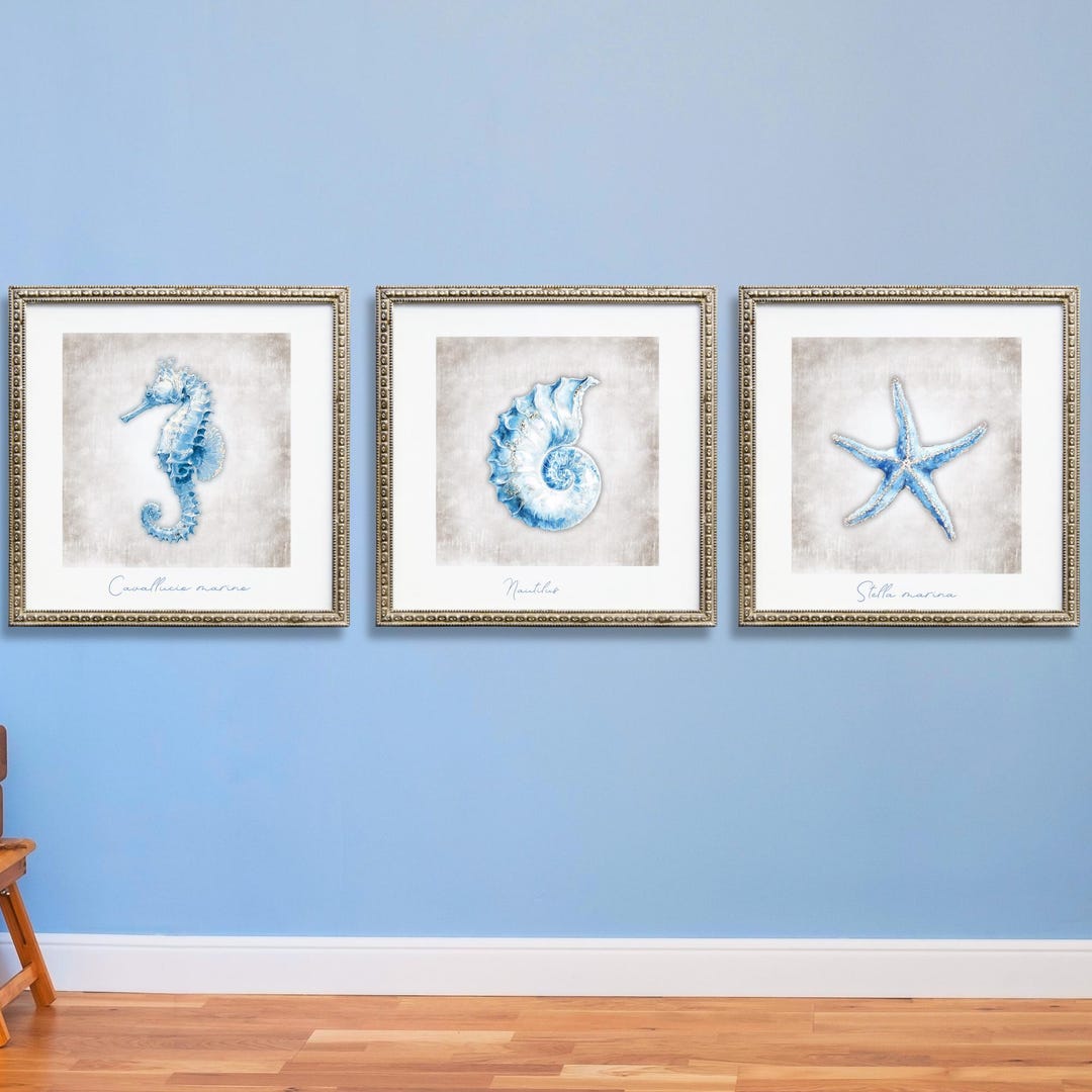 Blue Coastal Shell Print Set of 3, Vintage Nautical Wall Art Download ...
