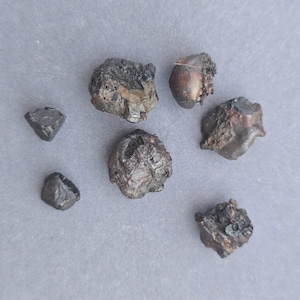 May include: An assortment of small, irregularly shaped, dark-colored rocks. The rocks vary in size and texture, with some appearing rough and porous, while others have smoother surfaces. The color ranges from dark gray to black, with hints of brown.