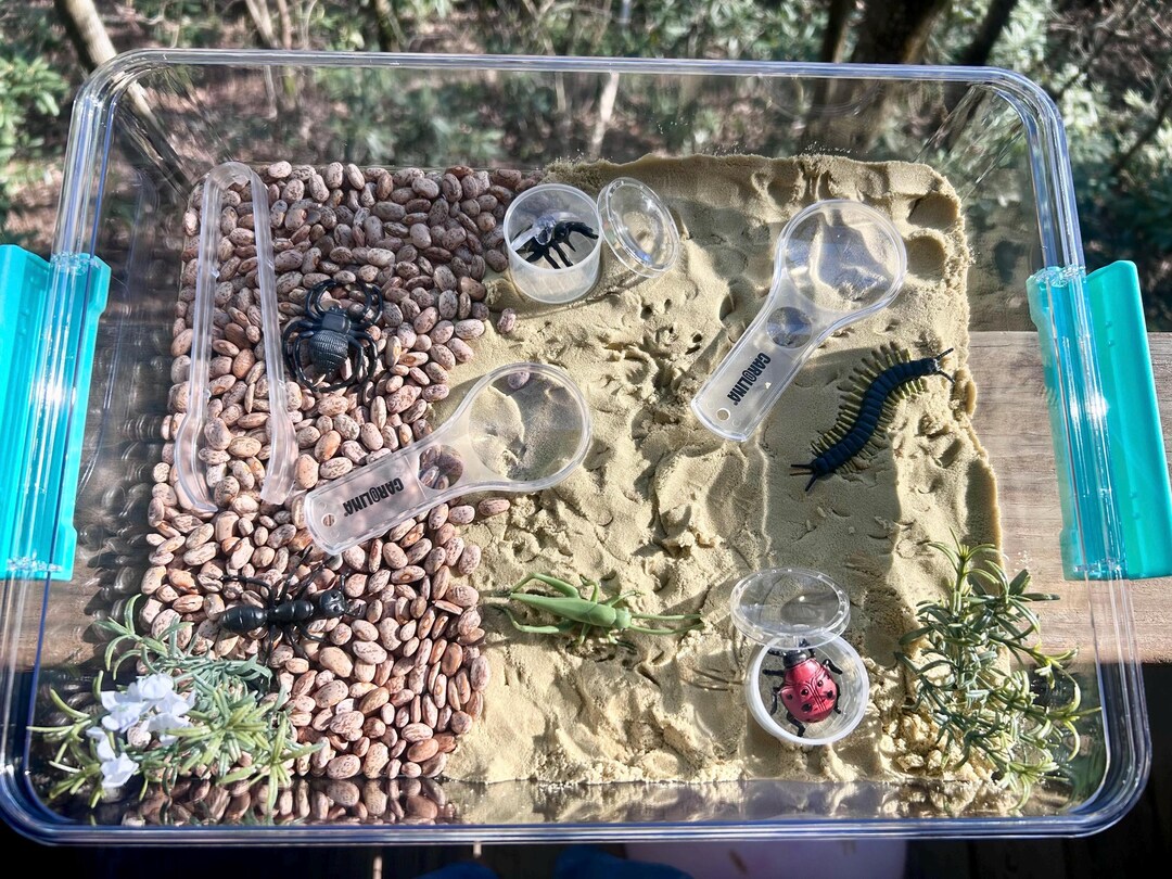 Insect Exploration Sensory Bin Kit - Etsy
