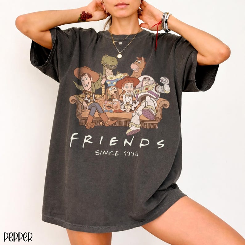 May include: Dark grey t-shirt with a graphic of Toy Story characters on a sofa. The word "FRIENDS" is printed in white, with "SINCE 1995" underneath. The shirt has a vintage, worn appearance.