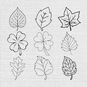 May include: A collection of nine distinct black and white line art illustrations of various leaves and clover shapes arranged in a three-by-three grid. Each icon features clean, bold outlines depicting different botanical silhouettes and vein patterns.