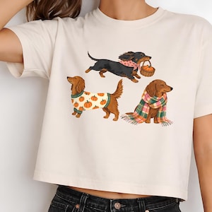 May include: A cream-colored short-sleeve t-shirt featuring a graphic print of three dachshunds. One dog wears a pumpkin-patterned sweater, another wears a pink bandana and carries a basket, and the third is wrapped in a plaid scarf.