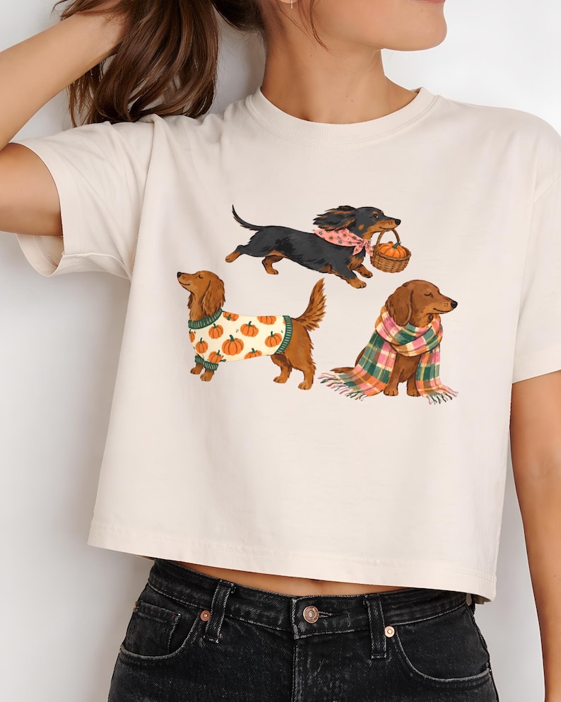 May include: A cream-colored short-sleeve t-shirt featuring a graphic print of three dachshunds. One dog wears a pumpkin-patterned sweater, another wears a pink bandana and carries a basket, and the third is wrapped in a plaid scarf.
