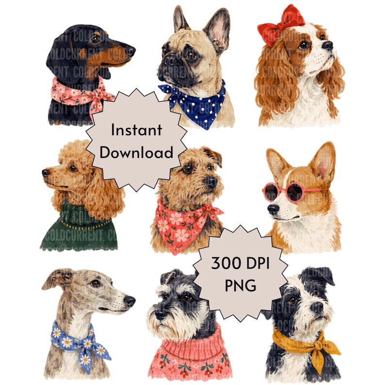Puede incluir: Una colecci&oacute;n de ocho ilustraciones de perros que incluye un perro salchicha con pa&ntilde;uelo floral, un bulldog franc&eacute;s con pa&ntilde;uelo azul de lunares, un spaniel con lazo rojo, un caniche con su&eacute;ter verde, un terrier con pa&ntilde;uelo floral, un corgi con gafas de sol rojas, un galgo con pa&ntilde;uelo de margaritas y un schnauzer con su&eacute;ter rosa.