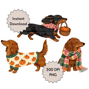 May include: Three illustrations of dachshunds. One black dog wears a pink floral bandana and carries a basket with a pumpkin. One brown dog wears a cream sweater with orange pumpkins. One brown dog wears a plaid scarf. Text reads Instant Download.