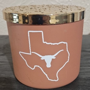 University of Texas UT Longhorn pen jar