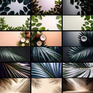 A photo bundle featuring fresh green leaves, split coconuts, and detailed close-ups of wet palm fronds.