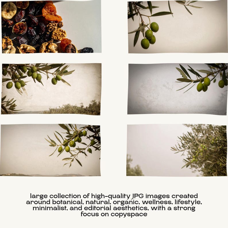 Stock images of dried fruit and fresh olive branches against neutral and textured backgrounds.