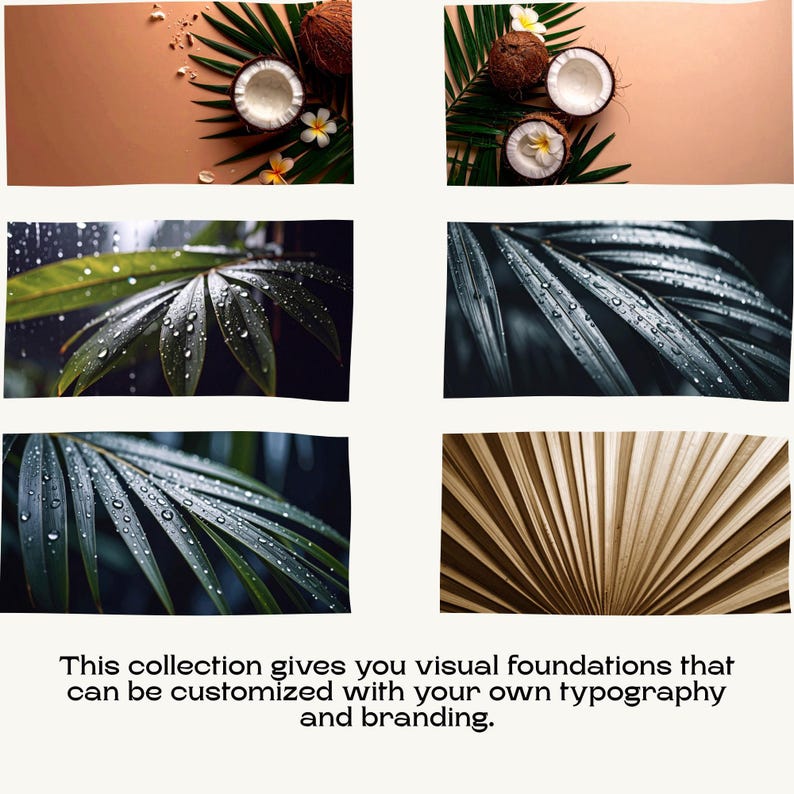 Stock photos featuring halves of coconuts with white flowers and close-ups of rain-covered palm fronds.