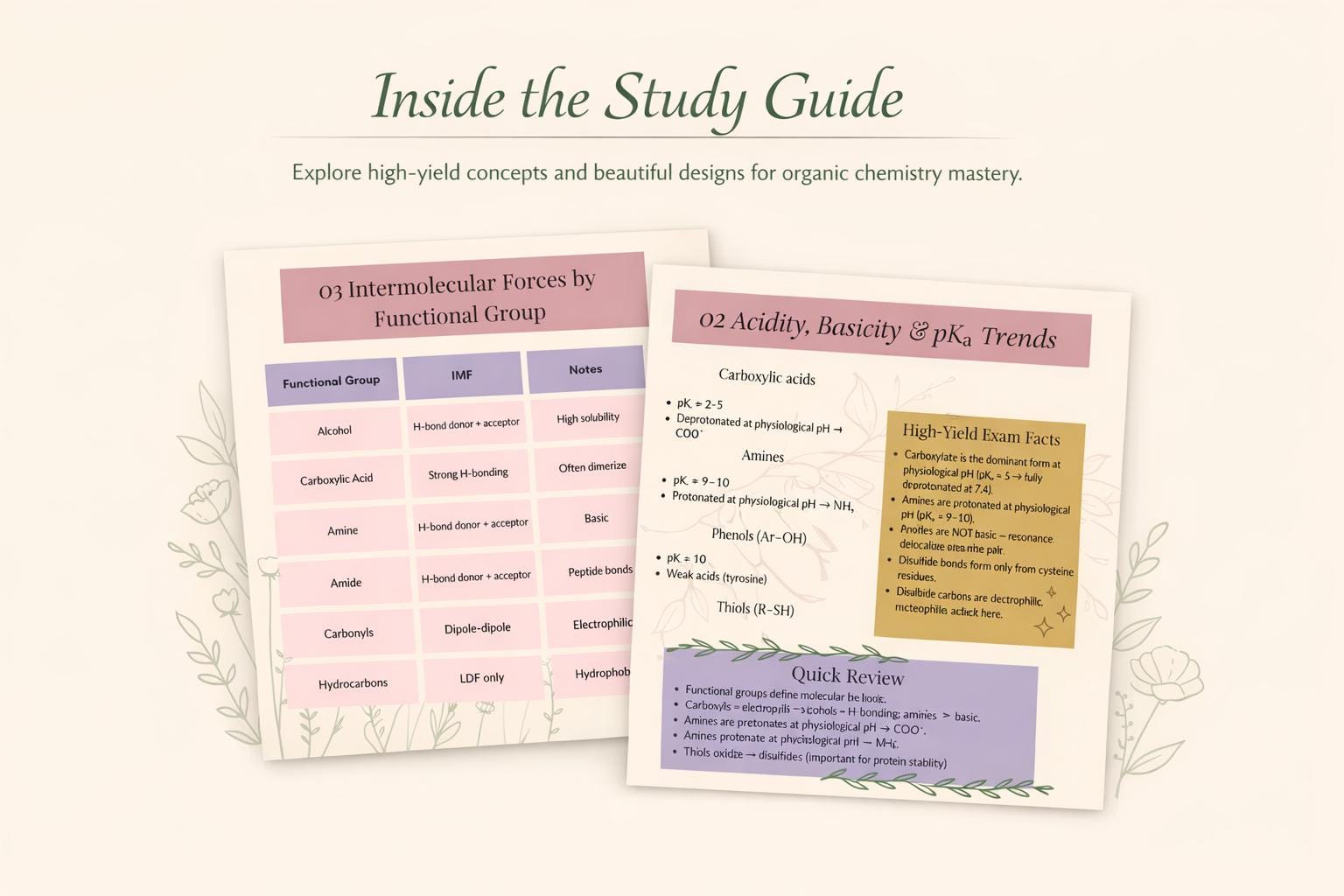 Functional Groups Study Guide | Organic Chemistry, Biochemistry PDF - Etsy