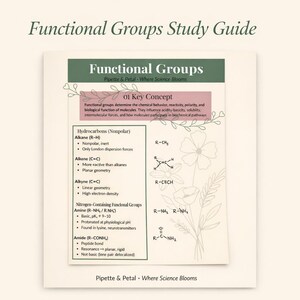 Funktionale Gruppen Studienführer | Organische Chemie, Biochemie PDF