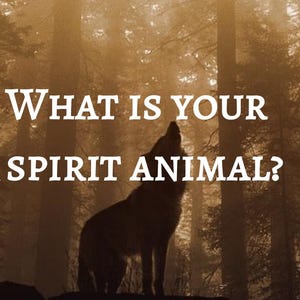 May include: A silhouette of a wolf howling in a dense, sepia-toned forest. The text "WHAT IS YOUR SPIRIT ANIMAL?" is printed in white, bold, serif capital letters across the center of the image, superimposed over the dark trees.