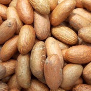 Puede incluir: Primer plano de un montón de nueces de cola marrones y oblongas. Las nueces tienen una superficie texturizada con una mezcla de tonos marrones claros y oscuros. La imagen está encuadrada de cerca, llenando la vista con las nueces.