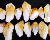 Multipack .5 quot -2 quot Citrine root crystals points yellow quartz gemstone rock stone mineral specimen