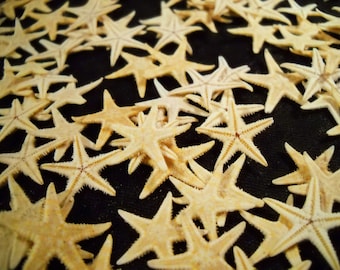May include: A collection of beige starfish of various sizes scattered on a black background.