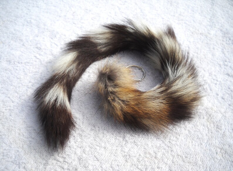 Ring Tail Cat Real Fur Tail 14 to 17 Totem Etsy