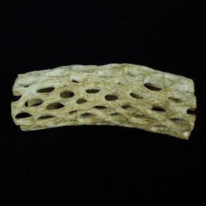2&quot;X5&quot; Cactus Wood Skeleton Tree Log Tree Cholla Branch real natural wood votive candles for fireplace, parties, weddings, etc.