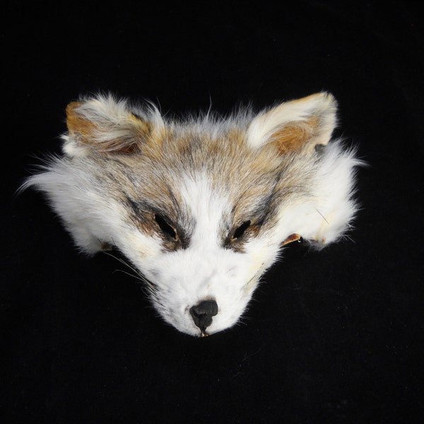 reserved for Daniel until 12/2/16, Rare Marble Fox Face Mask Real Ears Fur Taxidermy Anime Costume Cosplay LARP Kawaii Animal Costume FM1