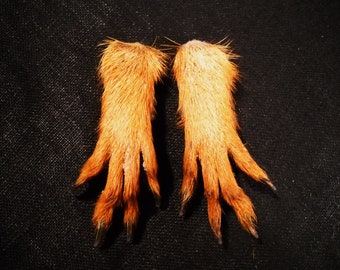 1 Pair Real Squirrel Paws Taxidermy hands, leg, feet, fur, and claws