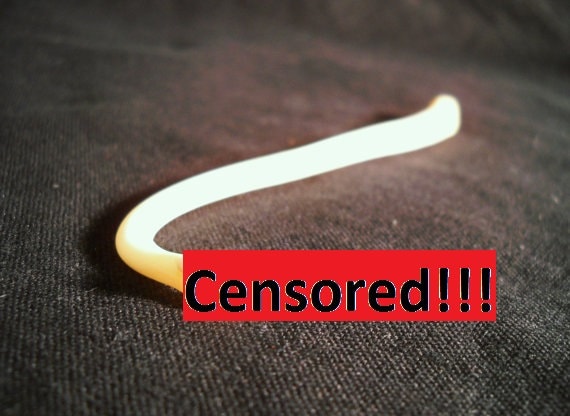 XL Real Penis Bone Raccoon Animal Bacculum Taxidermy Genuine Skeleton…