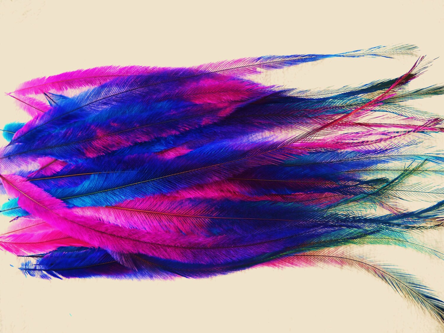10 Tie Dye Feather Extensions CRUELTY FREE Emu With Free Beads Etsy