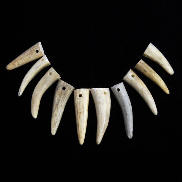 Multipack 1.5-2.25" DRILLED Antler Tips Real Deer Bone Taxidermy Pendant Necklace Jewelry Beads